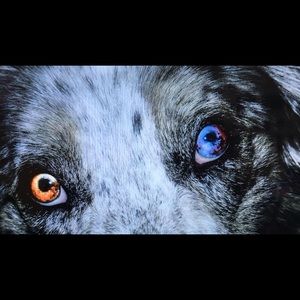 Meet your Posher, Jae